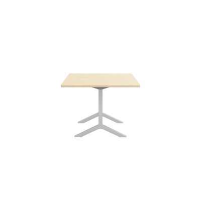 Lammhults_Funk_table_H730_2000x1000_polished_ash_side.png